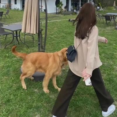 恐惧过后